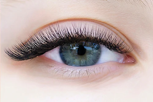 Lash